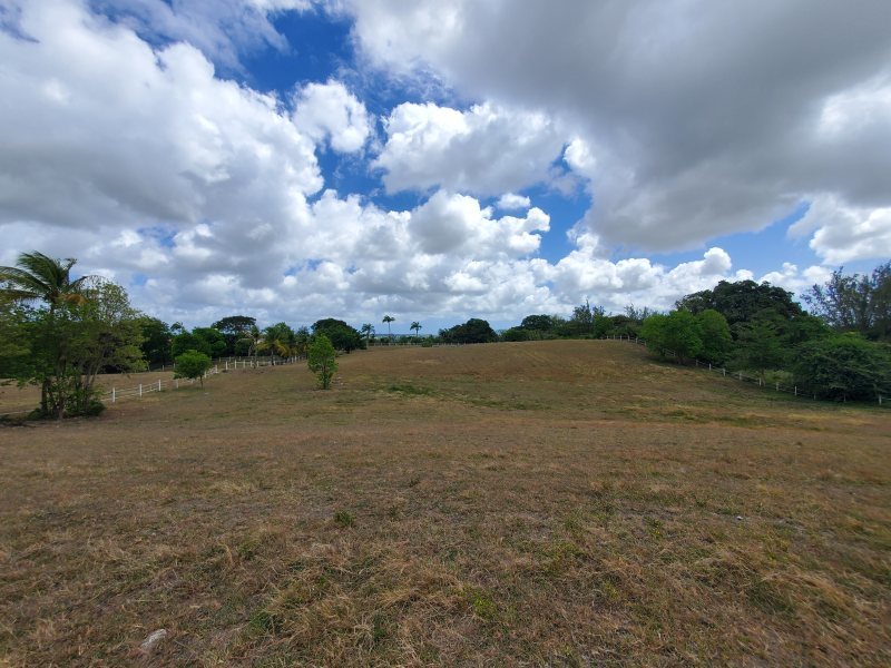 Land For Sale in Frere Pilgrim Barbados
